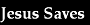 Story Jesus Saves